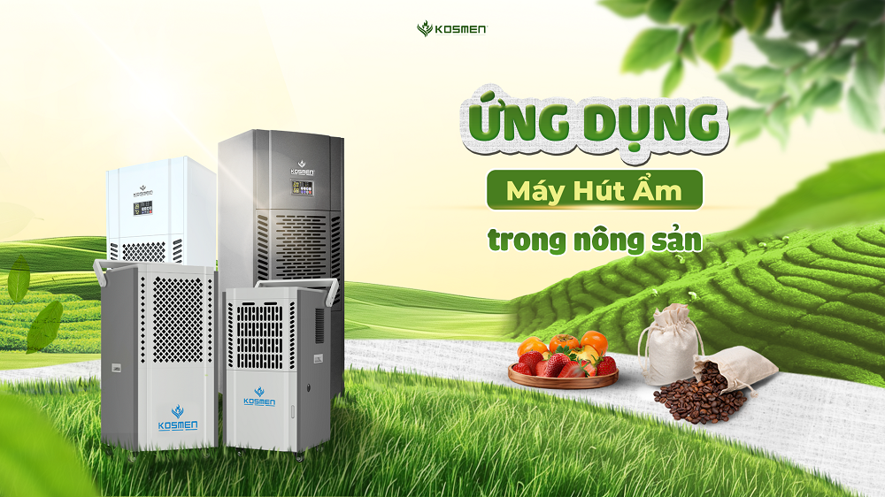 Giải Pháp Kiểm Soát Ẩm, Chống Ẩm Mốc Cho Ngành Nông Sản
