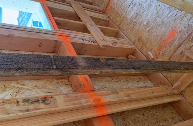 Kh&iacute; hậu n&oacute;ng ẩm tại Việt Nam khiến c&aacute;c căn nh&agrave; gỗ dễ bị mối mọt tấn c&ocirc;ng 