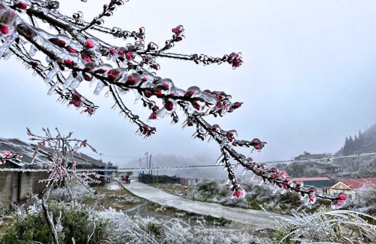 T&igrave;nh trạng băng gi&aacute; bao phủ tại H&agrave; Giang v&agrave;o m&ugrave;a đ&ocirc;ng