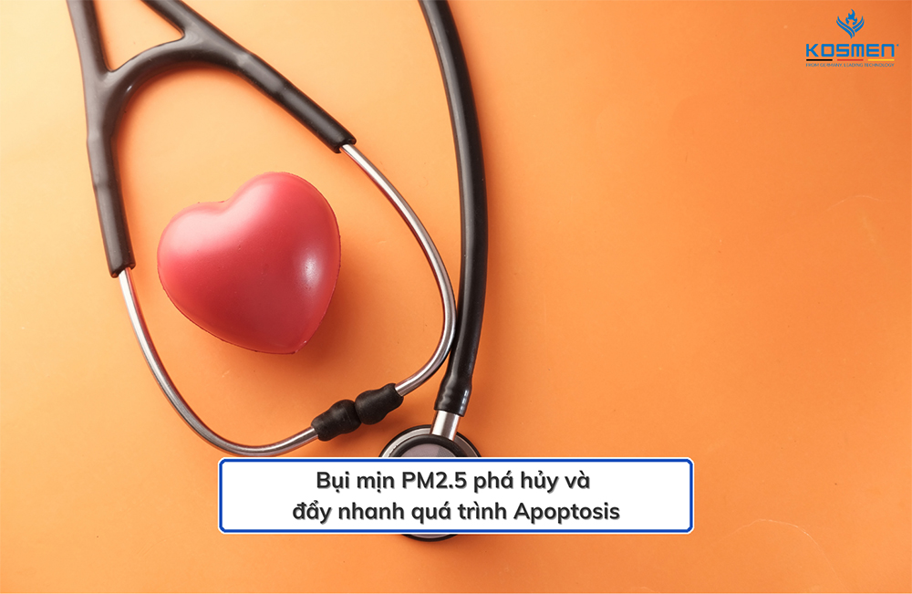 Bụi mịn ảnh hưởng xấu đến tim mạch 