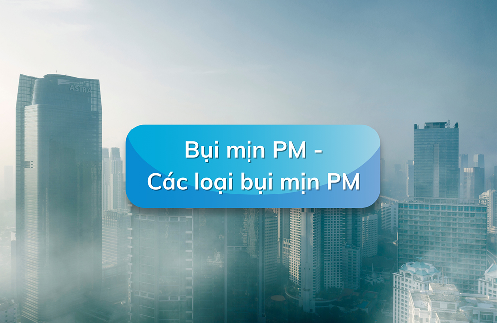Bụi Mịn PM Là Gì? Tìm Hiểu Về Các Loại Bụi Mịn PM
