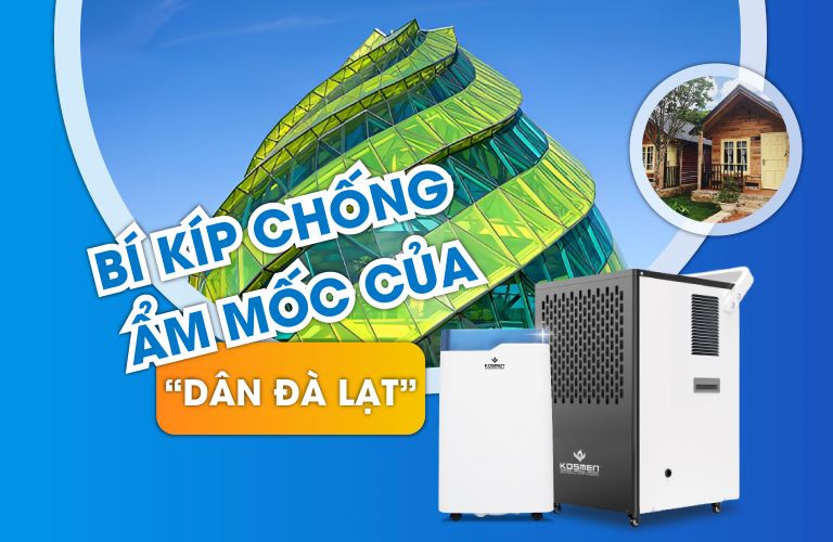 Bí Quyết Chống Ẩm Mốc Hiệu Quả Của Người Dân Đà Lạt