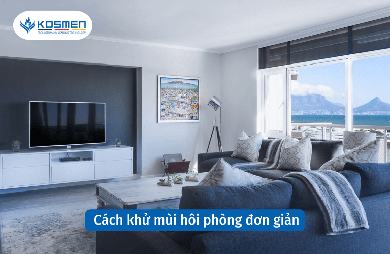 20+ Cách Khử Mùi Hôi Phòng Kín, Phòng Ngủ Đơn Giản Tại Nhà