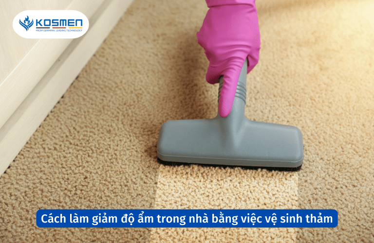 Cách làm giảm độ ẩm trong nhà bằng việc vệ sinh thảm