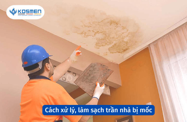 Nguyên Nhân Trần Nhà Bị Ẩm Mốc Và Cách Xử Lý, Làm Sạch Hiệu Quả