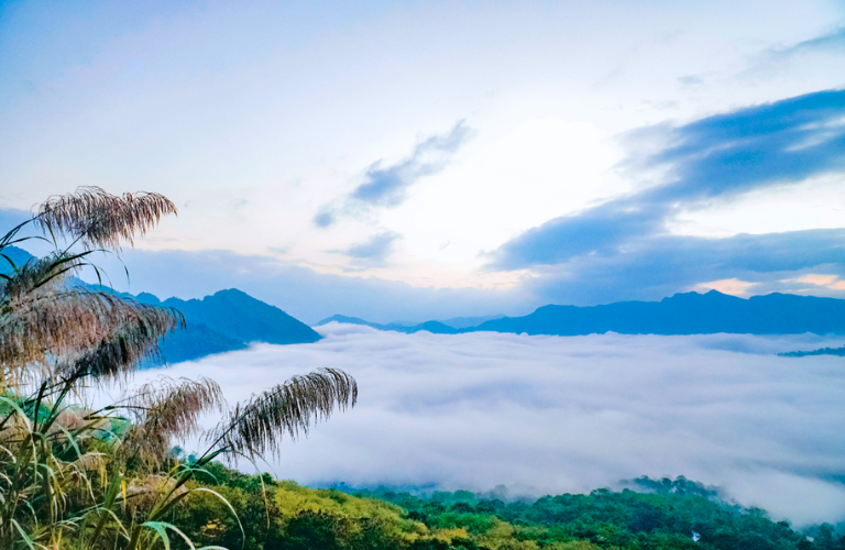 Cảnh m&acirc;y m&ugrave; bao phủ tr&ecirc;n đỉnh n&uacute;i đẹp n&ecirc;n thơ tại Điện Bi&ecirc;n