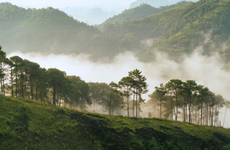 Cảnh đẹp m&acirc;y m&ugrave; tại Cao Bằng thu h&uacute;t kh&aacute;ch du lịch tới tham quan