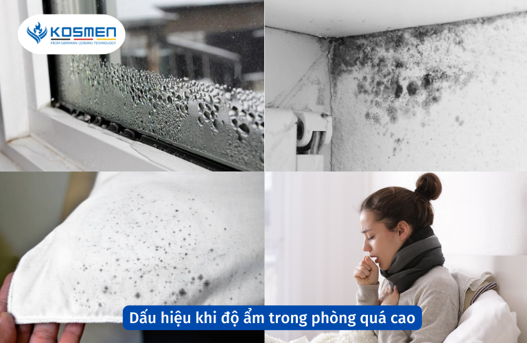 Dấu hiệu khi độ ẩm trong phòng quá cao, không ở mức độ ẩm phòng lý tưởng