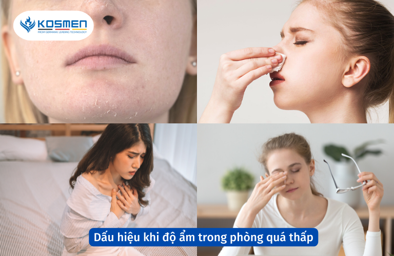 Dấu hiệu khi độ ẩm trong phòng quá thấp, không ở mức độ ẩm phòng thích hợp