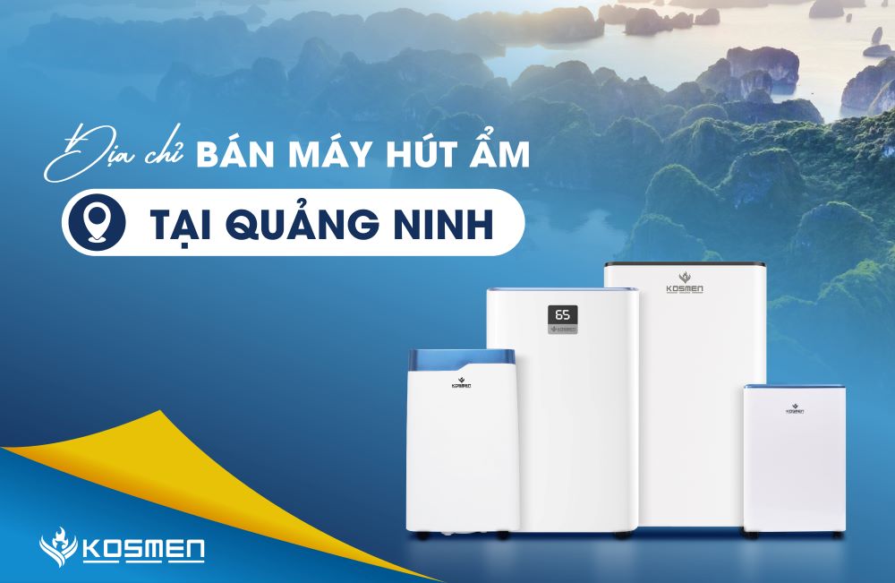 Mua Máy Hút Ẩm Ở Quảng Ninh Chất Lượng Cao Cấp