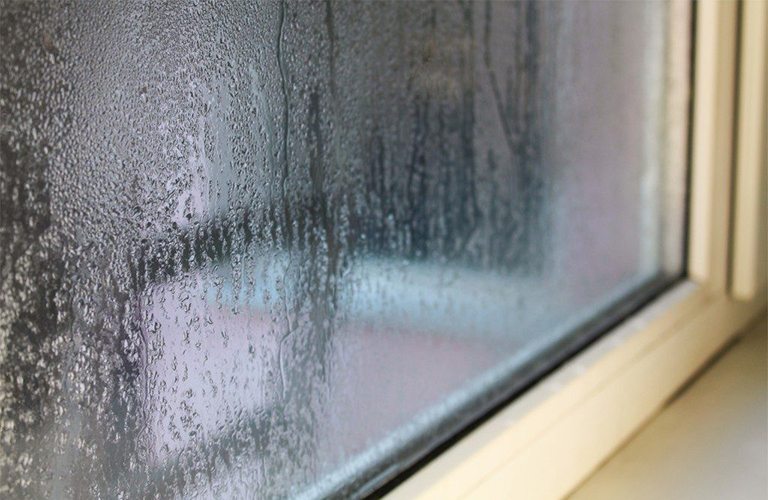 Độ ẩm cao gây ra mùi hôi trong phòng 