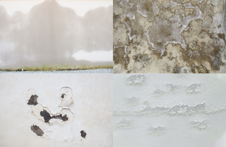 Độ ẩm l&agrave;m tường kho, xưởng bị ẩm mốc hoặc bị muối h&oacute;a sủi bọt trắng