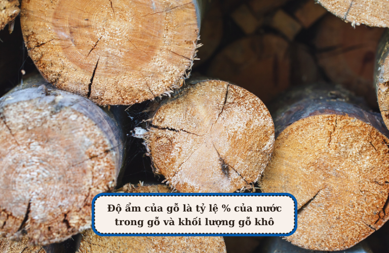 Mỗi loại gỗ sẽ c&oacute; mức độ ẩm ti&ecirc;u chuẩn kh&aacute;c nhau