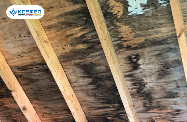 Độ ẩm là nguyên nhân chính làm xuất hiện nấm mốc