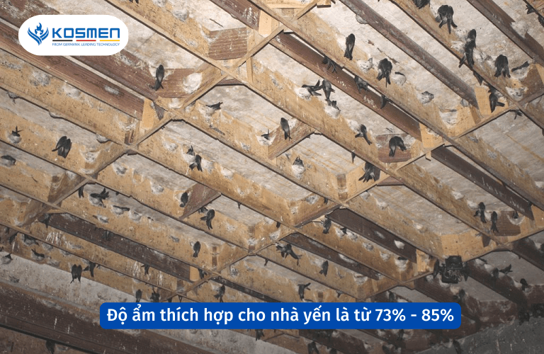 Độ ẩm nh&agrave; yến từ 73% - 85% l&agrave; m&ocirc;i trường rất th&iacute;ch hợp cho chim yến sinh sống