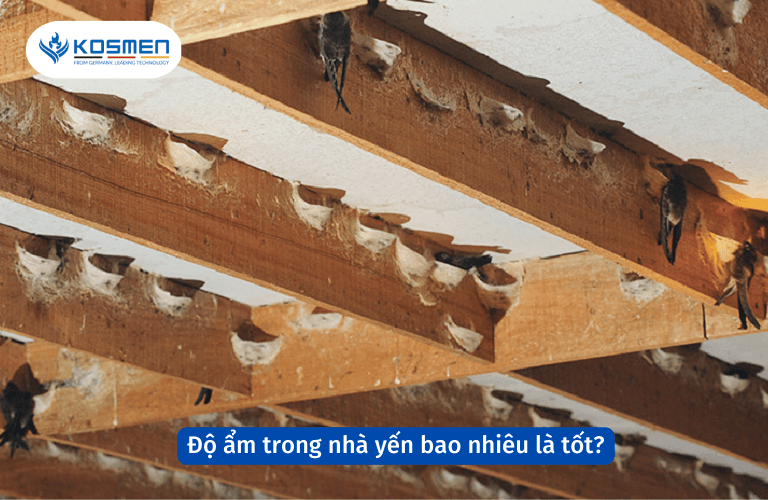 Độ ẩm trong nh&agrave; yến bao nhi&ecirc;u l&agrave; tốt?