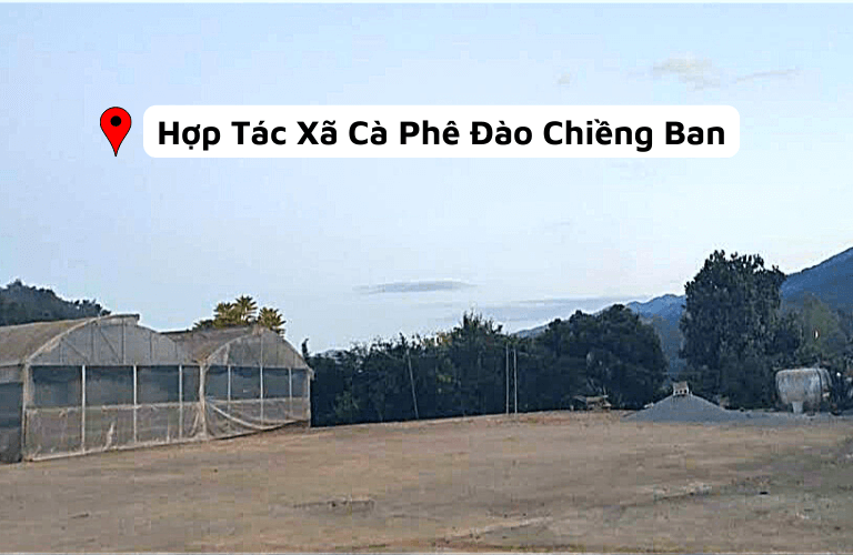 Lắp đặt bảo quản cà phê tại HTX Cà Phê Đào Chiềng Ban