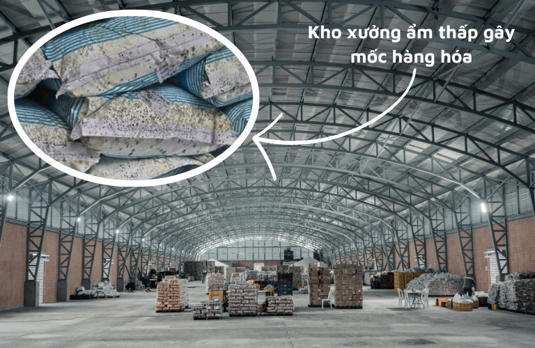 Kho xưởng ẩm thấp c&oacute; thể g&acirc;y hư hỏng, khiến h&agrave;ng h&oacute;a bị ẩm mốc v&agrave; tăng tỷ lệ hao hụt