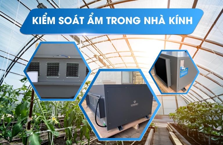 Duy Trì, Kiểm Soát Độ Ẩm Cho Nhà Kính, Nhà Màng, Nhà Lưới