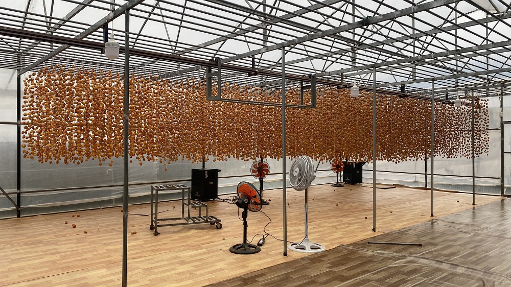 Ứng dụng m&aacute;y h&uacute;t ẩm để kiểm so&aacute;t ẩm trong nh&agrave; k&iacute;nh phơi sấy n&ocirc;ng sản