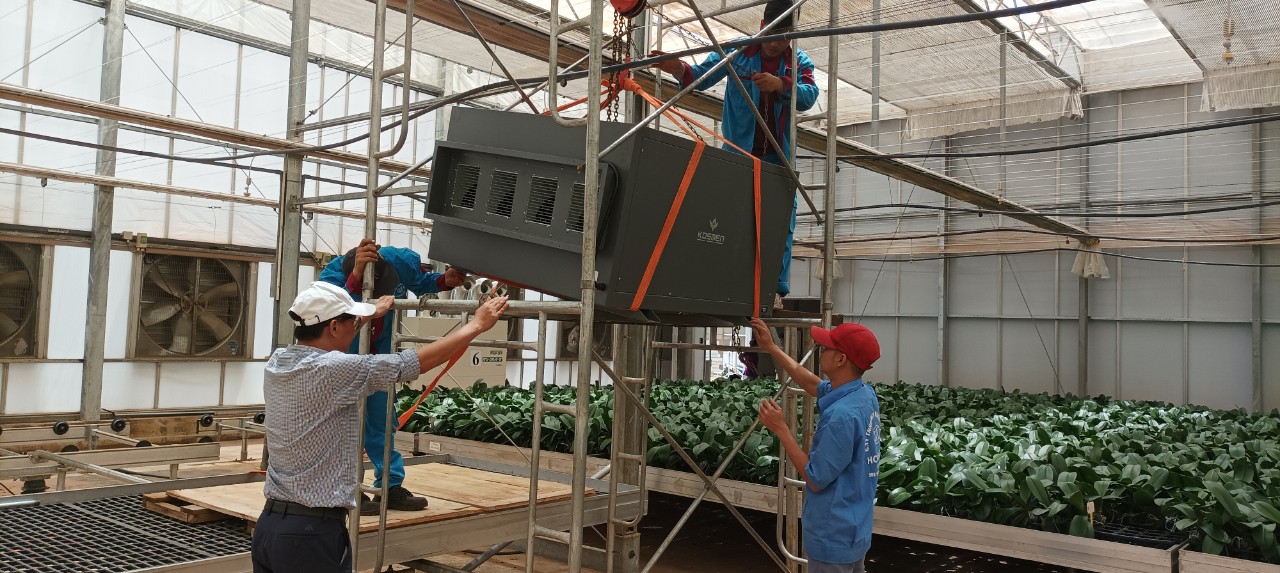 M&aacute;y h&uacute;t ẩm treo trần gi&uacute;p đơn giản h&oacute;a qu&aacute; tr&igrave;nh kiểm so&aacute;t ẩm trong nh&agrave; k&iacute;nh trồng c&acirc;y