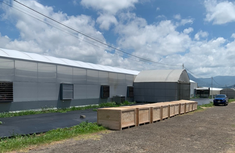 Lắp đặt máy hút ẩm treo trần Kosmen KM-480DS trong nông nghiệp