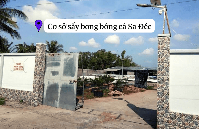 Lắp đặt máy hút ẩm Kosmen tại Cơ sở sấy bong bóng cá Sa Đéc