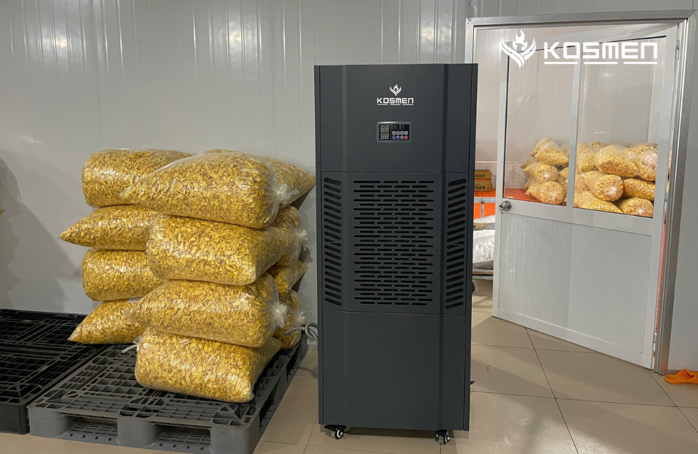 Lắp Đặt Máy Hút Ẩm Sấy Và Bảo Quản Tại Cơ Sở Sấy Mít