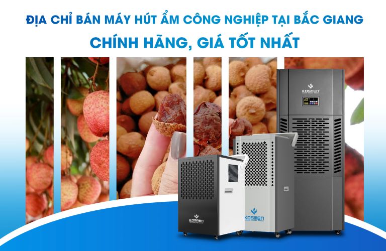Địa Chỉ Bán Máy Hút Ẩm Tại Bắc Giang Chuẩn Công Nghệ Đức