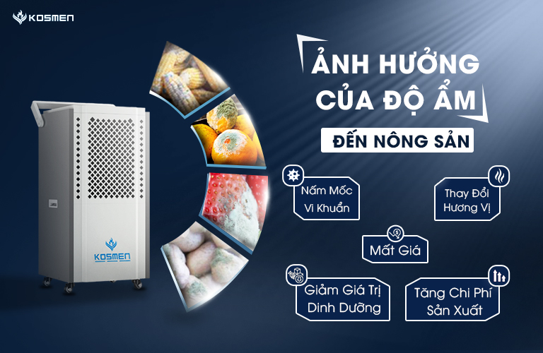 Máy hút ẩm giải pháp kiểm soát ẩm tối ưu bảo vệ nông sản hiệu quả