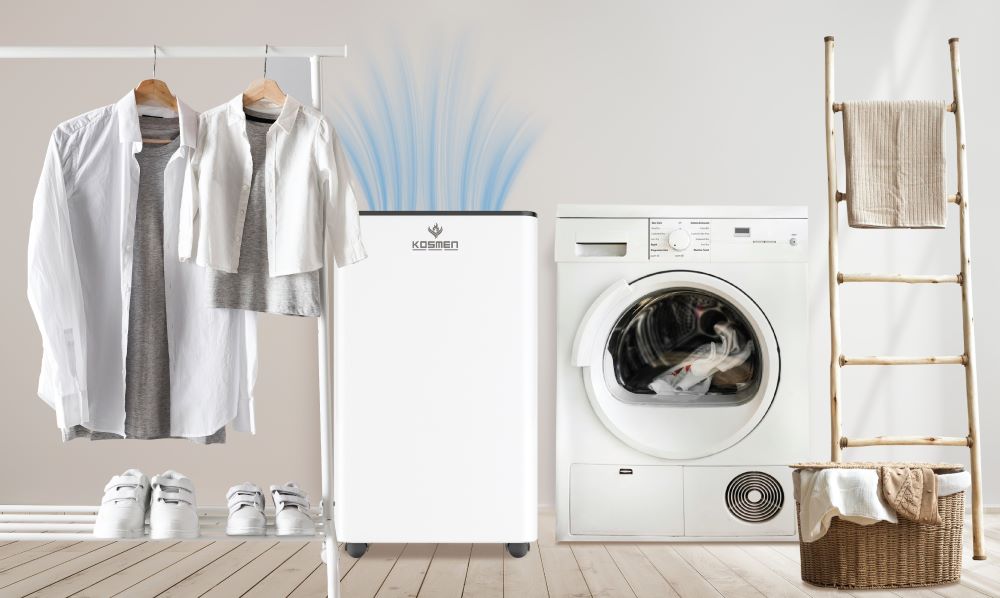 Máy hút ẩm hỗ trợ sấy khô quần áo nhanh chóng và hiệu quả