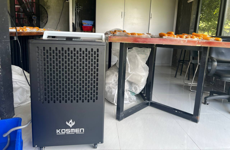 Dự án lắp đặt máy hút ẩm công nghiệp bảo quản hạt giống