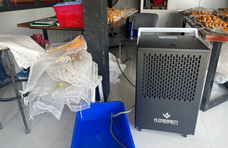 Dự án lắp đặt máy hút ẩm công nghiệp bảo quản hạt giống