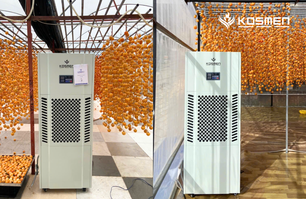 Máy hút ẩm Kosmen KM-180S bảo quản hồng treo gió tại Đà Lạt