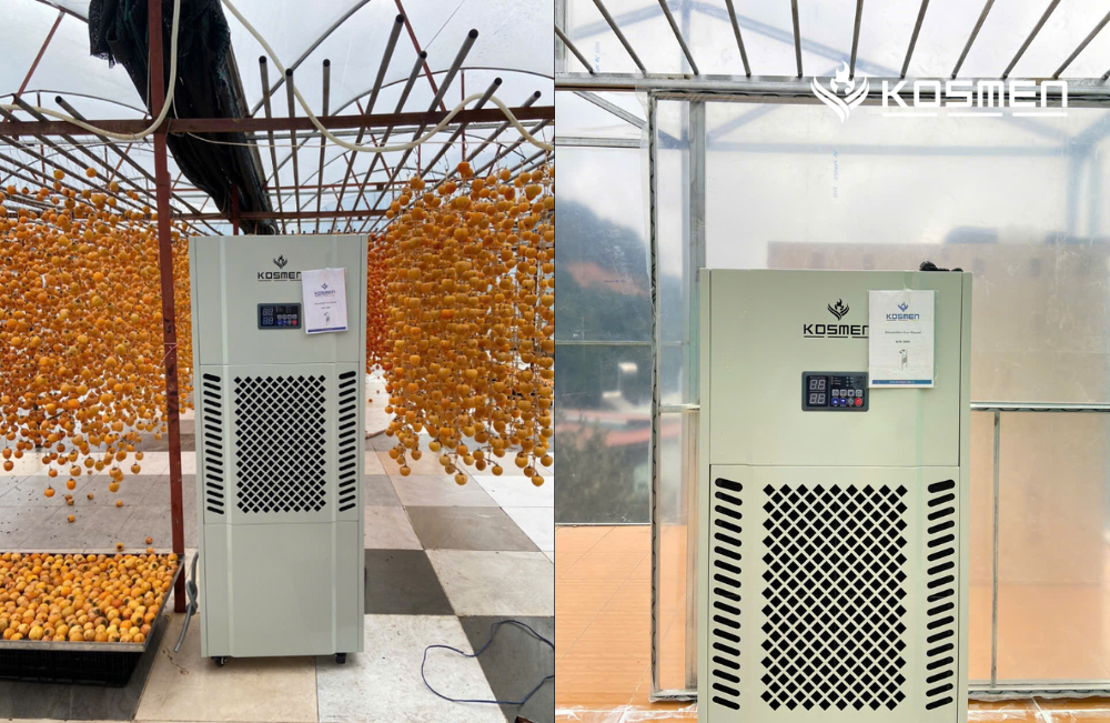Máy hút ẩm Kosmen KM-180S bảo quản hồng treo gió tại Đà Lạt