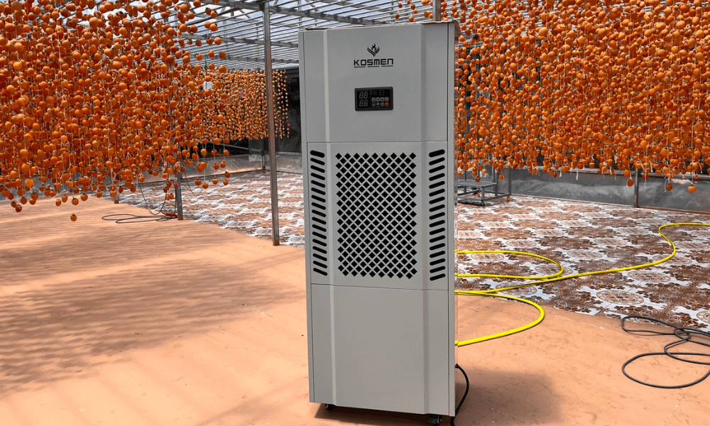 Máy hút ẩm Kosmen có khả năng sấy khô liên tục, phù hợp cho quy trình sản xuất hồng treo gió