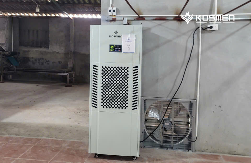 Lắp đặt máy hút ẩm Kosmen KM-180S xử lý ẩm trong xưởng sản xuất bánh đa