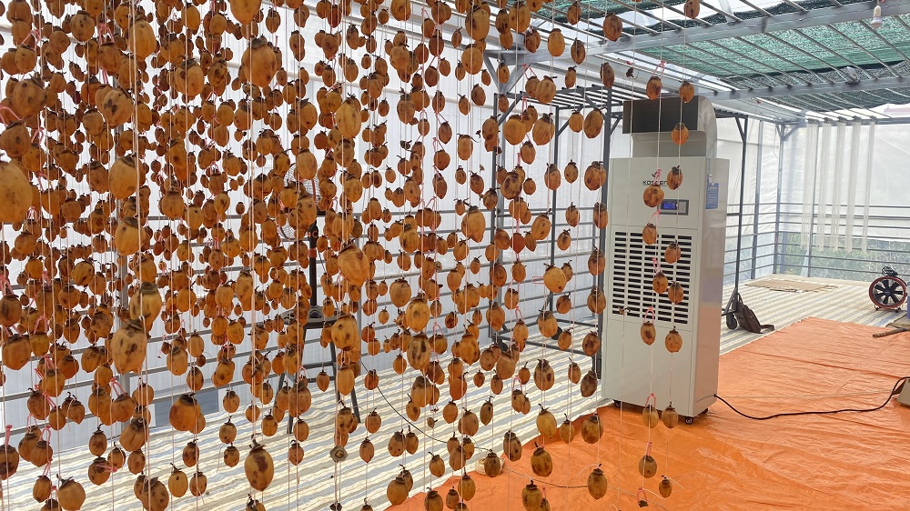 Sấy hồng treo gi&oacute; bằng m&aacute;y h&uacute;t ẩm Kosmen KM-180S