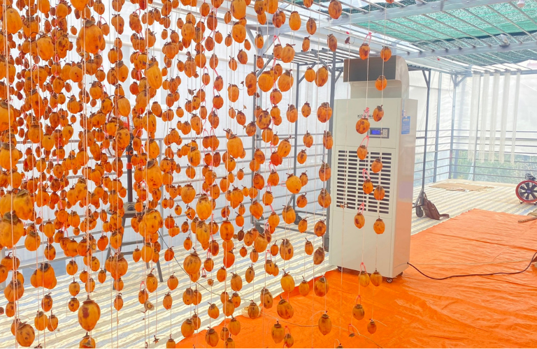 Ứng dụng máy hút ẩm Kosmen trong sản xuất hồng treo gió