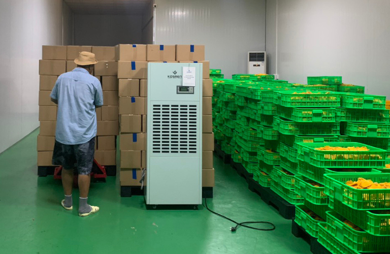 M&aacute;y h&uacute;t ẩm Kosmen KM-180S c&oacute; khả năng sấy kh&ocirc; n&ocirc;ng sản nhanh ch&oacute;ng