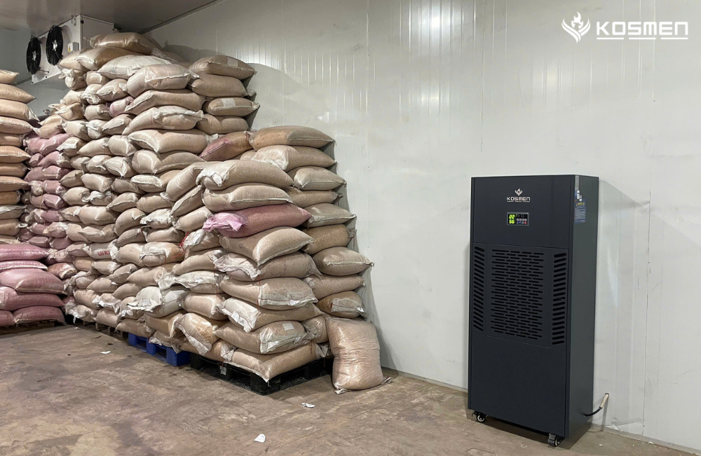 Dự &aacute;n lắp đặt m&aacute;y h&uacute;t ẩm Kosmen KM-250S để bảo quản hạt giống
