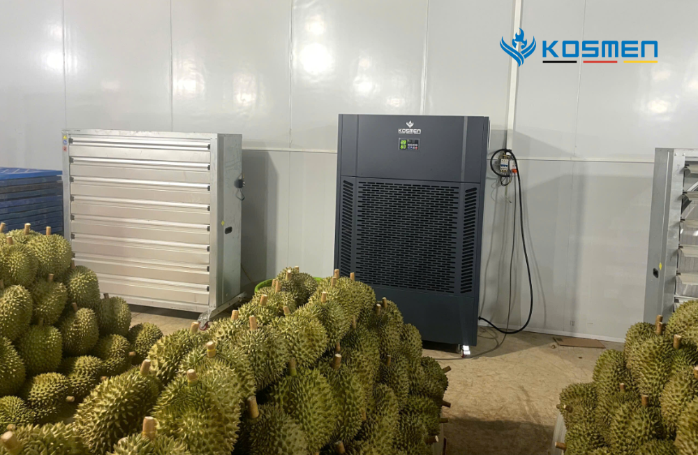 Lắp đặt máy hút ẩm công nghiệp Kosmen KM-480S bảo quản sầu riêng