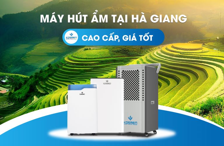 Địa Chỉ Bán Máy Hút Ẩm Tại Hà Giang, Xử Lý Ẩm Tốt Nhất