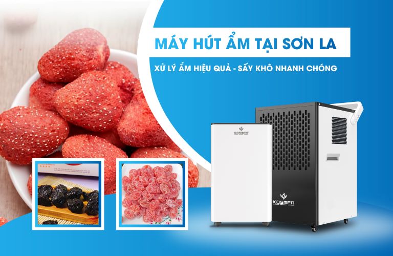 Địa Chỉ Bán Máy Hút Ẩm Tại Sơn La, Giá Tốt Nhất