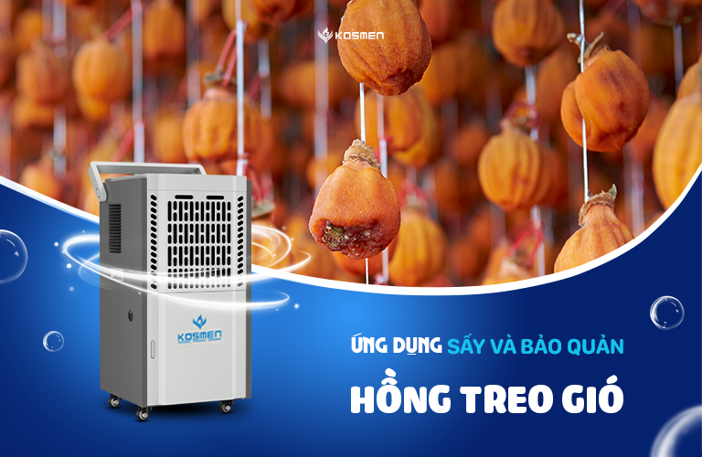 Ứng dụng của máy hút ẩm trong sấy và bảo quản hồng treo gió