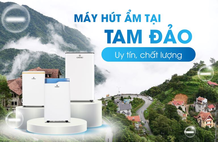 Địa Chỉ Bán Máy Hút Ẩm Tại Tam Đảo Chất Lượng, Giá Tốt