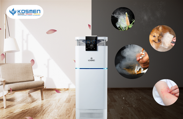 Máy lọc không khí giúp loại bỏ phấn hoa hiệu quả và ngăn ngừa các bệnh về đường hô hấp