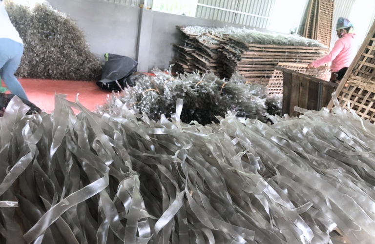 Miến dong th&aacute;i tay Điện Bi&ecirc;n được nhiều người d&ugrave;ng t&igrave;m mua v&igrave; khi ăn c&oacute; độ dai ngon v&agrave; hương vị đặc trưng