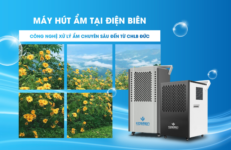 Địa Chỉ Bán Máy Hút Ẩm Tại Điện Biên, Chất Lượng Giá Rẻ