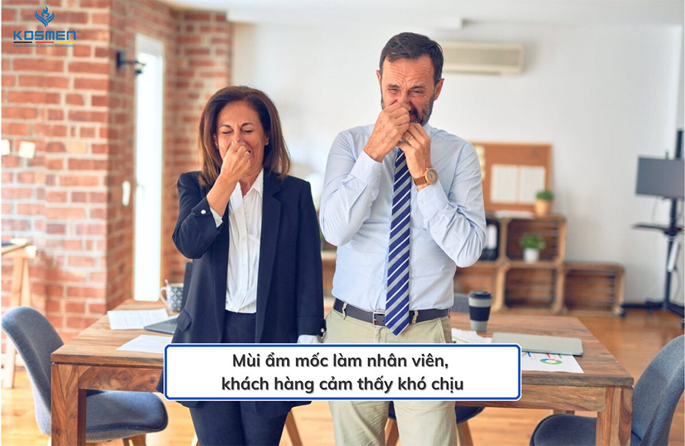 Độ ẩm cao tạo điều kiện cho vi khuẩn, nấm mốc phát triển